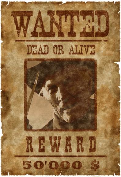 Stand photo photobooth western wanted Lyon