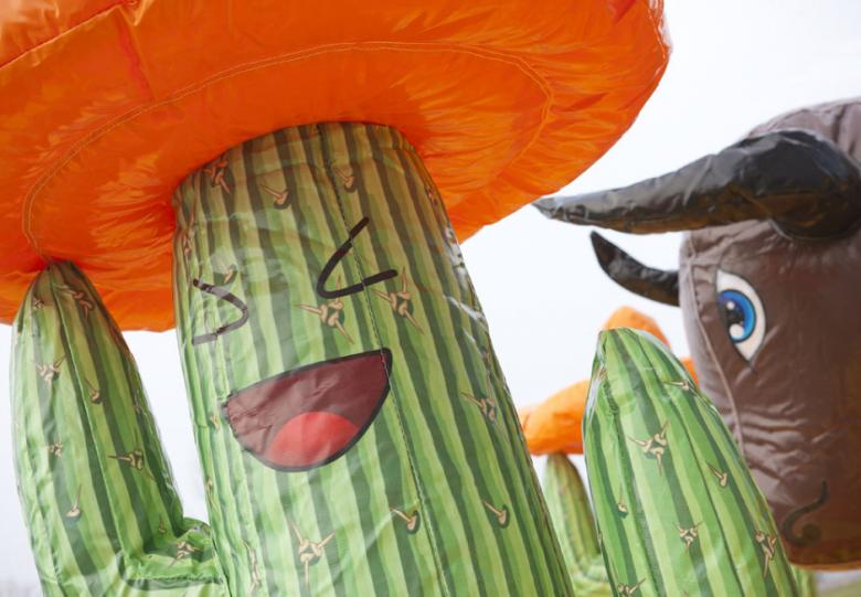 organisation soirée western Saloon cowboys à Lyon Rhône Alpes